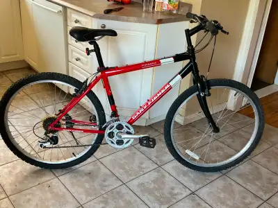 Vélo 26 pouce GARYFISHER pour ado de 14 ans+ et homme, View more