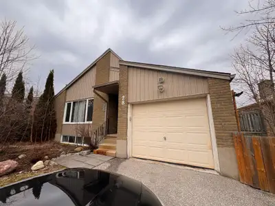 Gorgeous 2 Bedroom + Office or 3 Bedroom Apartment in Waterloo! (Lower Unit) Gorgeous bright walkout...