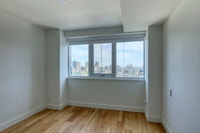 Renovated Akelius one bedroom apartment for rent. Located near Sherbrooke in the Downtown - McGill n... (image 5)