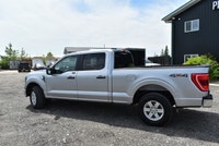 2023 FORD F-150 XLT – 6.5' BOX CLEAN CARFAX | LIKE NEW | 5.0L V8 | READY TO WORK OR PLAY Available n... (image 3)