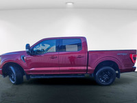 Experience the power and versatility of the 2021 Ford F-150 XLT in a striking red finish with a robu... (image 5)
