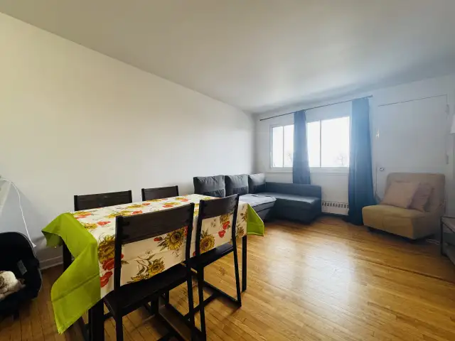 Appartement 3 ½ à louer Sainte-Foy / Sillery juillet 2026 in Long Term Rentals in Lévis - Image 4