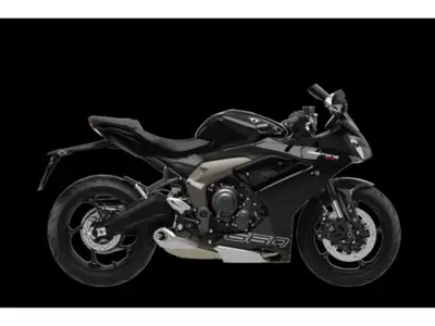 New Daytona 660 Streetwise. Track-Proven. TRIPLE-POWERED PERFORMANCE Race-Proven performance. CONFID...