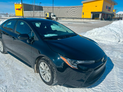 TOYOTA COROLLA LE UPGRADE WITH WINTER TIRES