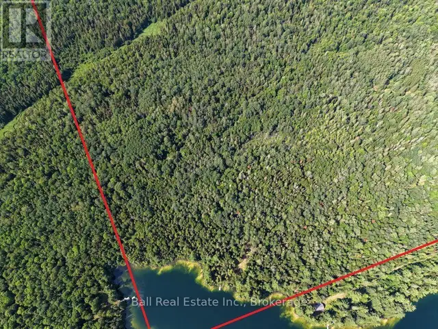 382 OLD DETLOR ROAD Bancroft (Dungannon Ward), Ontario in Land for Sale in Trenton - Image 9