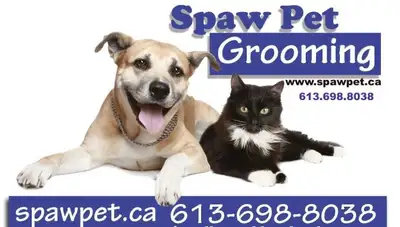 PLEASE CALL OR TX 613.698.8038 14 years of experience at Spawpet Pet, we provide exceptional groomin...