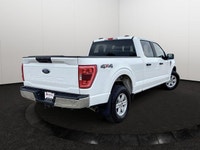 This Ford F-150 has a powerful Regular Unleaded V8 5.0 L engine powering this Automatic transmission... (image 5)