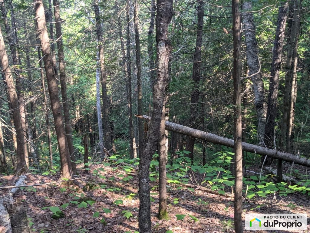 $110,250 - Price taxes not included - Residential Lot - Chertsey — photo 2