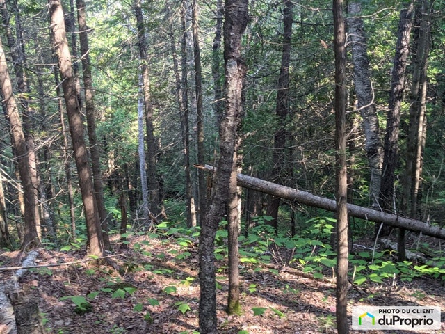 $110,250 - Price taxes not included - Residential Lot - Chertsey — photo 2