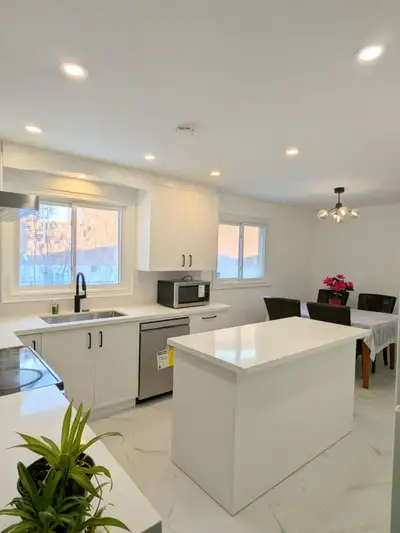 Handyman, Repair, Renovation and Vinyl flooring, View more