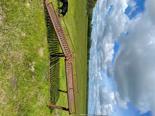 Quad/UTV Ramp in Fishing, Camping & Outdoors in Lloydminster - Image 2