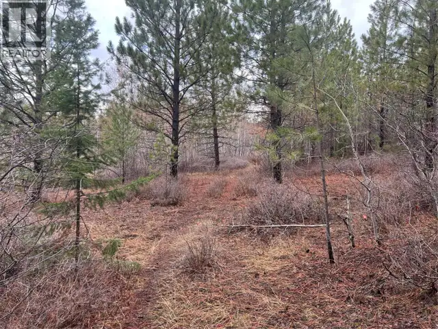 2457 COLDWATER Road Unit# Lot 9 Merritt, British Columbia in Land for Sale in Vernon - Image 11