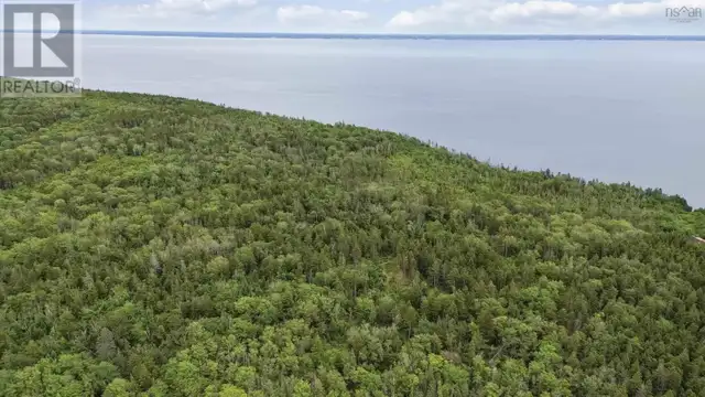Highway 217 Central Grove, Nova Scotia in Land for Sale in Yarmouth - Image 10