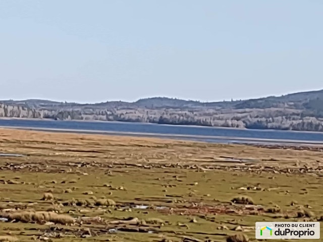 $109,900 - Wood Lot for sale in St-Alexandre-De-Kamouraska — photo 3