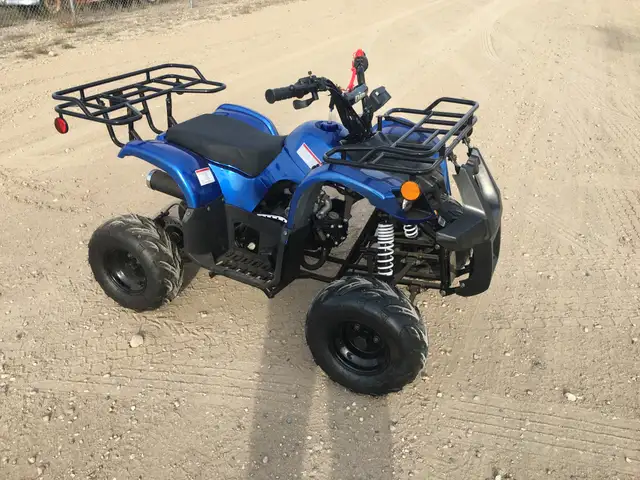2025 BRAND NEW GIO BLAZER 125 ATV / QUAD / in ATVs in Brandon - Image 8