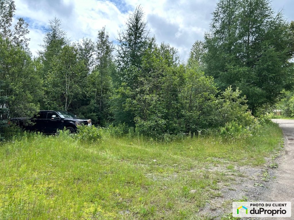 $74,500 - Residential Lot for sale in St-Adolphe-D'Howard — photo 3