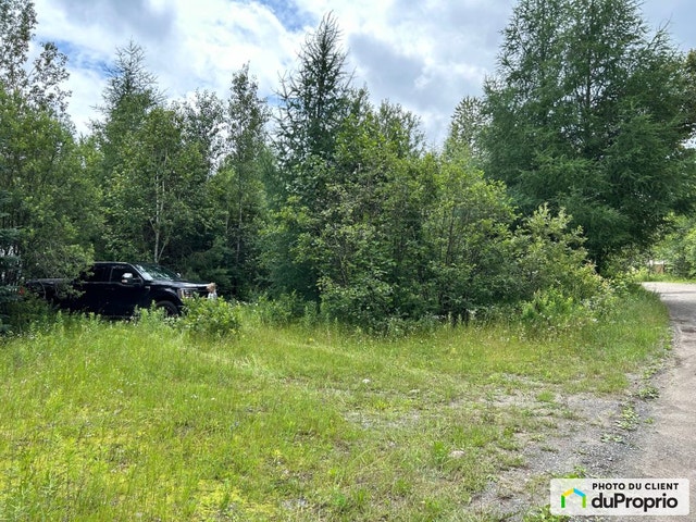 $74,500 - Residential Lot for sale in St-Adolphe-D'Howard — photo 3