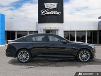 Command attention and experience refined exhilaration every time you get behind the wheel of this st... (image 5)