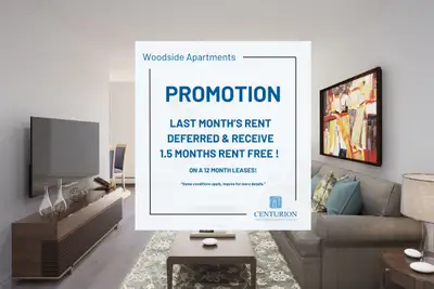 Cedar St. & St. Andrews | 1.5 Months Rent FREE | Cambridge!