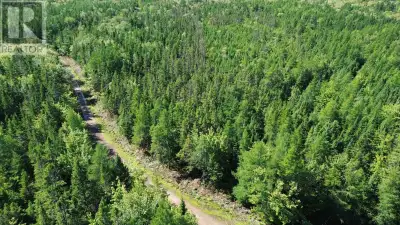 For those looking for space, privacy and a true connection to nature, this 78 acre property offers a...