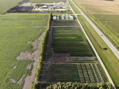 R39//Dufferin/Incredible Opportunity to Build on this Acreage less than 2 Miles South of Carman! 2.0...