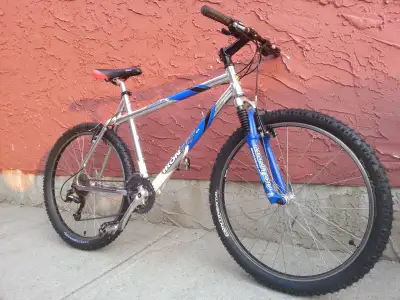 IRON Horse USA Raider Aluminum Racing Series 19.5" Frame 7005 Alloy A-Frame - Gusseted Head Tube Tek...