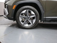 Just arrived and fully O'Regan's Green Light Certified this Venue Preferred Trend Package features a... (image 4)