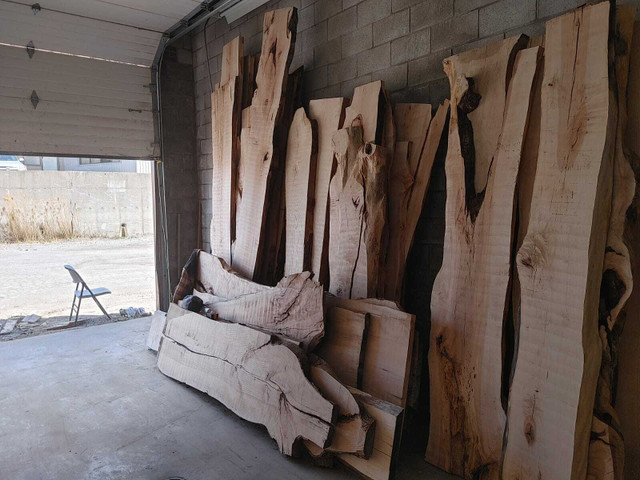 Live Edge Wood Kiln and Dried in Windows, Doors & Trim in City of Toronto - Image 2