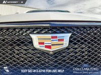 Thanks for viewing our Cam Clark Ford Inventory! HEATED REAR SEATS | MOONROOF | REMOTE START | LEATH... (image 9)
