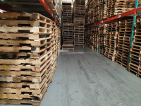 Dry wood 48 x 40 and plastic pallets (43x43 OR 45x45) Great SKID