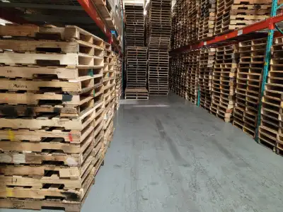Dry wood 48 x 40 and plastic pallets (43x43 OR 45x45) Great SKID, View more