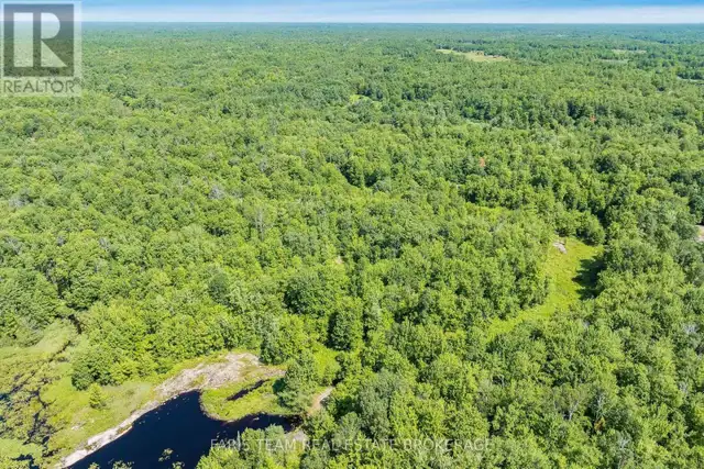 PART LOT 28 CONCESSION 12 BLACK RIVER ROAD Kawartha Lakes (Dalto in Land for Sale in Barrie - Image 7