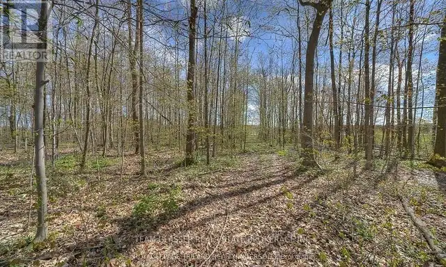 315529 31ST LINE Zorra, Ontario in Land for Sale in Woodstock - Image 4