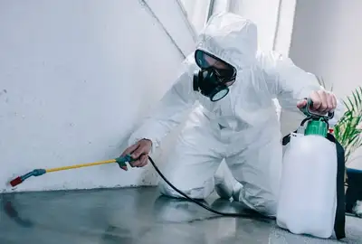 Pest control Roaches Raccoon Mice Pest control  6473637513, View more