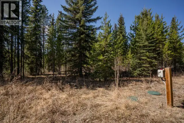 6301 ARCHIE MEADOW ROAD Forest Grove, British Columbia in Land for Sale in 100 Mile House - Image 14