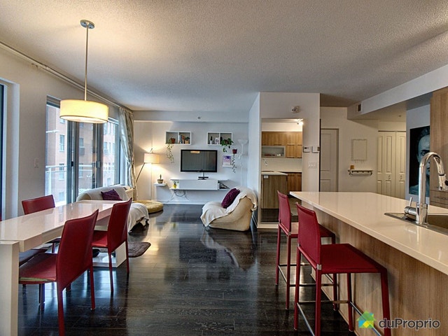 $600,000 - Condominium in Ville-Marie (downtown, old Mtl) — photo 3