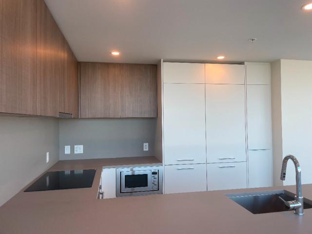 Surrey central new penthouse for rent in Long Term Rentals in Delta/Surrey/Langley