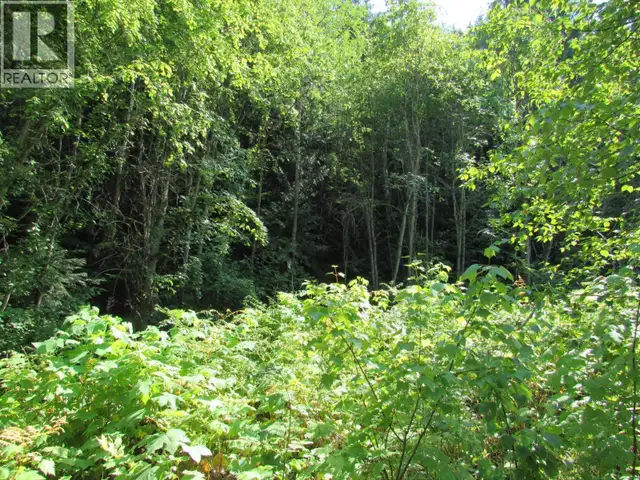 1365 Forest Road Castlegar, British Columbia in Land for Sale in Nelson - Image 18