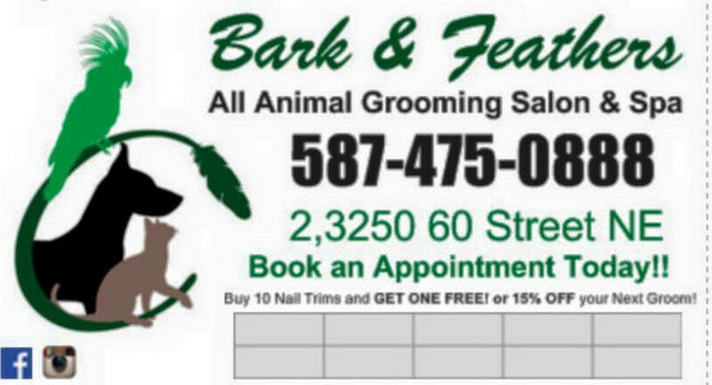 Dog and Cat Grooming in Animal & Pet Services in Calgary - Image 2