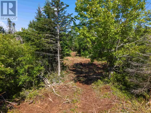 Front Acre Lot Conroad Beach Road Lower East Chezzetcook, Nova S in Land for Sale in Dartmouth - Image 25