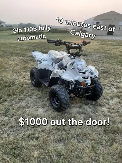 Brand new kids 110cc fully automatic. No reverse. Speed governor. Remote shut off. Front and rear li...
