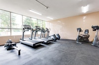 1 Bed, 1 Bath, Spacious, Newly Renovated Kitchen with Stainless Steel Appliances, Hardwood Flooring... (image 8)