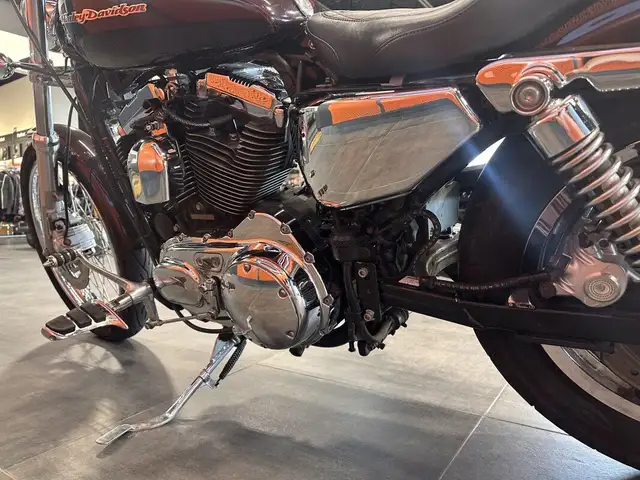 2006 Harley-Davidson 1200 Custom in Sport Bikes in Grande Prairie - Image 14