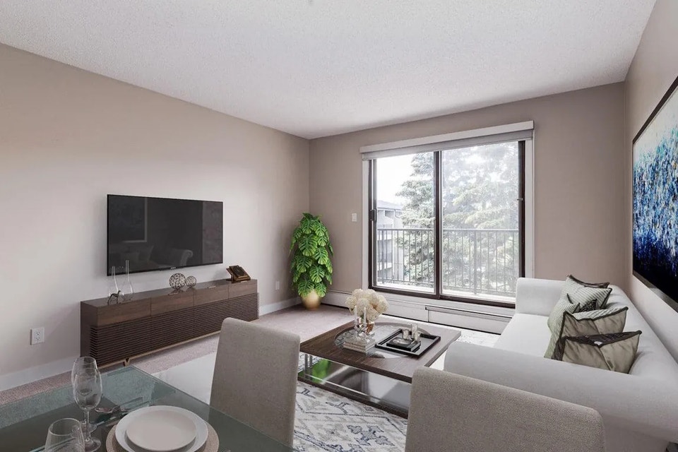 Spacious, pet-friendly apartments for rent 5