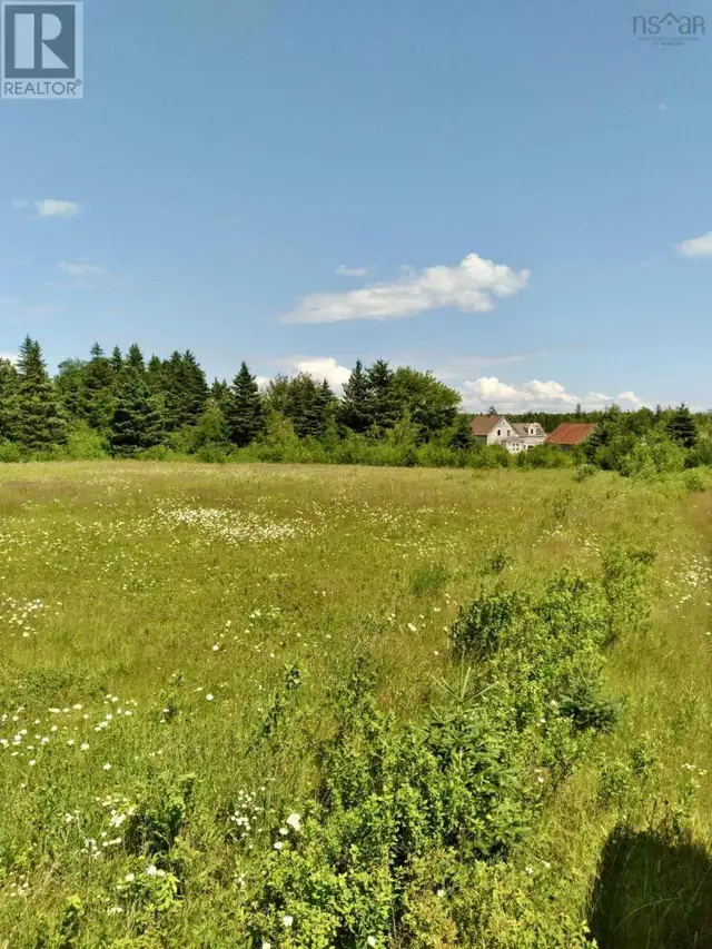 272 Breen Road Monastery, Nova Scotia in Land for Sale in New Glasgow - Image 9