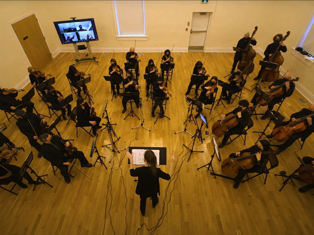Private Music Lessons (Violin, Viola, Cello, Double Bass,) in Classes & Lessons in Oshawa / Durham Region - Image 2
