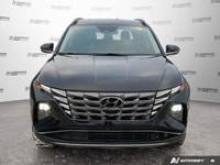 BLACK, LEATHER SEAT TRIM, ASH BLACK, Wireless Phone Connectivity, Wheels: 19 x 7.5J Aluminum, Wheels... (image 8)