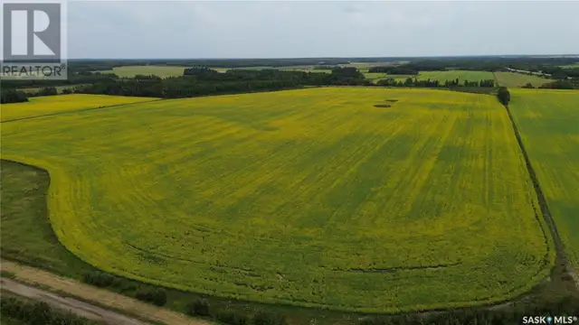 White Farm Torch River Rm No. 488, Saskatchewan in Land for Sale in Prince Albert - Image 10