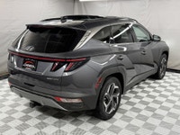 CONSECUTIVE COMSUMER CHOICE AWARD WINNERS! 5 years running, consecutive receivers of the prestigious... (image 7)