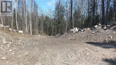 2.91 acres lot. Ottawa River. Very private. Driveway. Cleared area to build or park trailer. Waterfr...